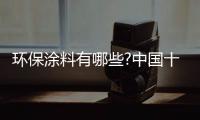 快排公司十年历程，霸屏兔 seo 的崛起与坚守