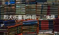 烈犬伤童事件后，“失焦”的多地捕狗风波