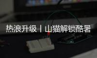 热浪升级丨山猫解锁酷暑施工新姿势！