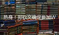快排公司十年历程，霸屏兔 seo 的崛起与坚守