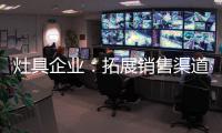 快排公司十年历程，霸屏兔 seo 的崛起与坚守