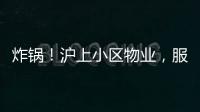 快排公司十年历程，霸屏兔 seo 的崛起与坚守