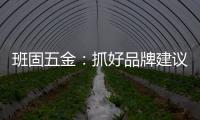 班固五金	：抓好品牌建议 提升营销服务