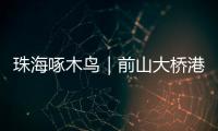 珠海啄木鸟｜前山大桥港昌路转盘车辆频繁“打架”？市民
：红绿灯时间能否调整？