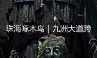 珠海啄木鸟｜九洲大道跨白石路桥路段已整改

！新增“均可直行 请勿停留”路牌