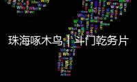 珠海啄木鸟｜斗门乾务片区排水管建设工程项目缺口资金已到位，力争今年底完工