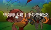 珠海啄木鸟｜平沙新城公交出行难
，如何解决？回应来了