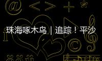珠海啄木鸟｜追踪�！平沙新城公交车站候车亭开工啦