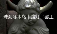 珠海啄木鸟｜路灯“罢工”大半年	！平沙这条路夜晚漆黑一片