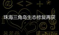 珠海三角岛生态修复再获国家级认可，二次入选海洋保护典型案例​