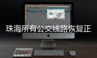 快排公司十年历程，霸屏兔 seo 的崛起与坚守
