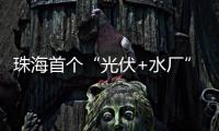 珠海首个“光伏+水厂”并网发电，打造绿色低碳新标杆