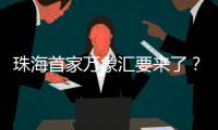 珠海首家万象汇要来了�	？最新回应→