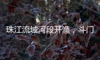 珠江流域河段开渔，斗门河鲜抢“鲜”上市
