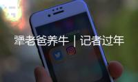 快排公司十年历程，霸屏兔 seo 的崛起与坚守