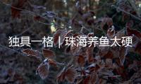 独具一格｜珠海养鱼太硬核！CGTN记者直呼Amazing！