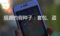 快排公司十年历程，霸屏兔 seo 的崛起与坚守