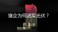 猪企为何进军光伏？