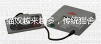 猫奴越来越多，传统猫舍却开不下去了	？