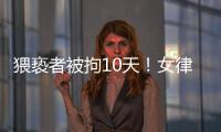 快排公司十年历程，霸屏兔 seo 的崛起与坚守