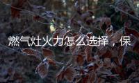 燃气灶火力怎么选择
，保留营养还成就美味!