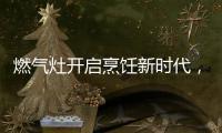 燃气灶开启烹饪新时代
，丰蓝1号燃气灶电池赋能美味佳肴