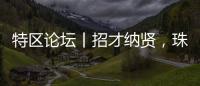 快排公司十年历程，霸屏兔 seo 的崛起与坚守