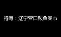 特写�：辽宁营口鲅鱼圈市民以积极心态面对疫情
