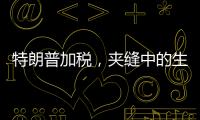 特朗普加税
，夹缝中的生意人怎么办	？