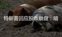 特朗普回应股市崩盘：暗示自己是“故意” 
，喊话美国人民“挺住”