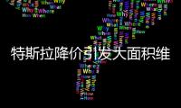 特斯拉降价引发大面积维权
：“价格屠刀”究竟砍向了谁
？