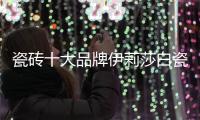 瓷砖十大品牌伊莉莎白瓷砖新品上市�，让空间更大气