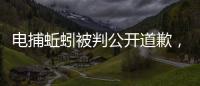 快排公司十年历程，霸屏兔 seo 的崛起与坚守