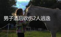 男子酒后砍伤2人逃逸 警方：已抓获归案并刑拘