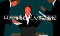 甲流病毒进入人体后会经历什么�	？