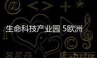 快排公司十年历程，霸屏兔 seo 的崛起与坚守
