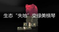生态“失地”变绿美横琴�，历经15年这里成为生态新家园