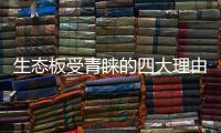 快排公司十年历程，霸屏兔 seo 的崛起与坚守