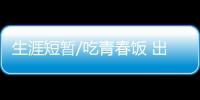 快排公司十年历程，霸屏兔 seo 的崛起与坚守