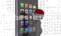 快排公司十年历程，霸屏兔 seo 的崛起与坚守