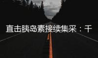 快排公司十年历程，霸屏兔 seo 的崛起与坚守