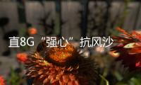快排公司十年历程，霸屏兔 seo 的崛起与坚守