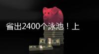 快排公司十年历程，霸屏兔 seo 的崛起与坚守