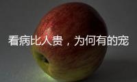 看病比人贵
，为何有的宠物医院却赚钱难？