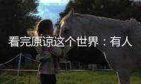 看完原谅这个世界：有人在景区托孤一朵花