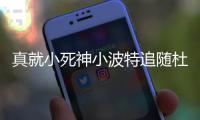 快排公司十年历程，霸屏兔 seo 的崛起与坚守