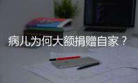 快排公司十年历程，霸屏兔 seo 的崛起与坚守