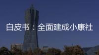 白皮书：全面建成小康社会开辟人权事业新境界