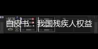 白皮书
：我国残疾人权益保障更加有力