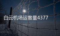快排公司十年历程，霸屏兔 seo 的崛起与坚守
